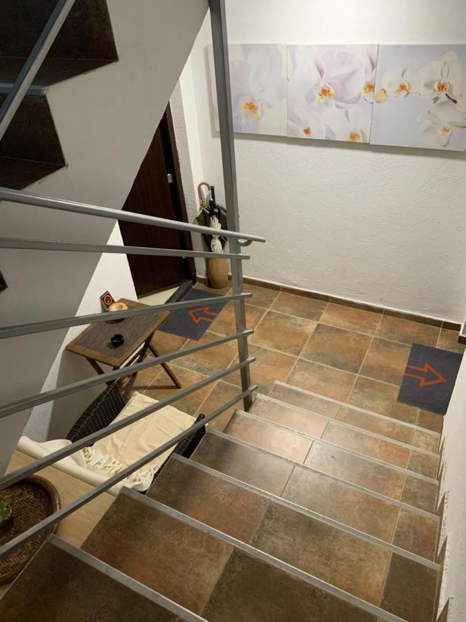 N6 Apartment نوفي ساد المظهر الخارجي الصورة